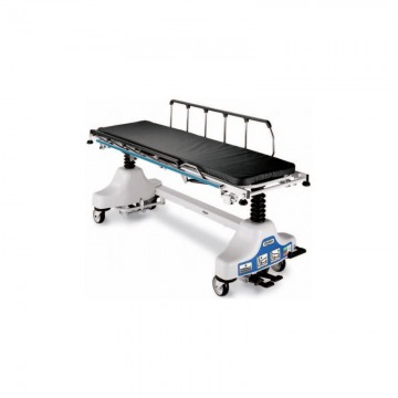 Camilla radiolucida - Farmamol